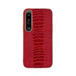 For Sony Xperia 1 IV Genuine Leather Weilai Series Nano Plating Phone Case(Red)