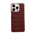 For iPhone 13 Pro Sky Series Nano Electroplating Genuine Leather Phone Case(Coffee)