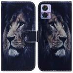 For Motorola Edge 30 Neo / Edge 30 Lite Coloured Drawing Leather Phone Case(Lion)