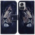 For Motorola Moto X30 Pro 5G / Edge 30 Ultra Coloured Drawing Leather Phone Case(Lion)