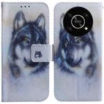 For Honor X9 / X9 5G Coloured Drawing Leather Phone Case(White Wolf)