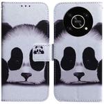 For Honor X9 / X9 5G Coloured Drawing Leather Phone Case(Panda)