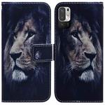 For Xiaomi Redmi Note 11T Pro / 11T Pro+ 5G Coloured Drawing Leather Phone Case(Lion)