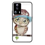 For Xiaomi Civi 2 Colorful Painted Glass Phone Case(Owl)