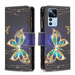 For Xiaomi 12T / 12T Pro / Redmi K50 Ultra Colored Drawing Pattern Zipper Leather Phone Case(Big Butterfly)