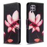 For Huawei P40 Lite Colored Drawing Horizontal Flip Leather Case with Holder & Card Slots & Wallet(Lotus)