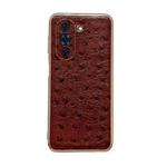 For Huawei nova 10 Genuine Leather Ostrich Texture Nano Plating Phone Case(Coffee)