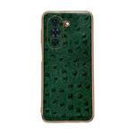 For Huawei nova 10 Genuine Leather Ostrich Texture Nano Plating Phone Case(Green)
