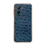 For vivo S15 5G Genuine Leather Ostrich Texture Nano Plating Phone Case(Blue)
