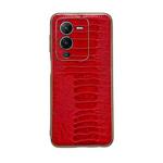 For vivo S15 5G Genuine Leather Weilai Series Nano Plating Phone Case(Red)