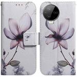 For Infinix Note 12 Pro 4G Coloured Drawing Horizontal Flip Leather Phone Case(Magnolia Flower)