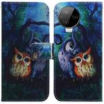 For Infinix Note 12 Pro 4G Coloured Drawing Horizontal Flip Leather Phone Case(Oil Painting Owl)