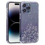 For iPhone 14 Pro Max DFANS DESIGN Golden Diamond TPU+PC Phone Case(Purple)