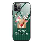 For iPhone 14 Pro Christmas Glass Phone Case(Deer Head)