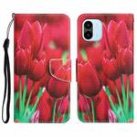 For Xiaomi Redmi A1 Colored Drawing Leather Phone Case(Tulips)