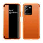 For vivo S15 Pro Magnetic Side Window View Flip Leather Phone Case(Orange)