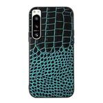For Sony Xperia 5 IV Crocodile Texture Genuine Leather Phone Case(Cyan Blue)