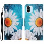 For Xiaomi Redmi A1 Colored Drawing Pattern Leather Phone Case(Chrysanthemum)