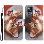 For Xiaomi 12T / 12T Pro / Redmi K50 Ultra Colored Drawing Pattern Leather Phone Case(Butterfly Cat)