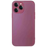 For iPhone 12 Pro AG Frosted Sweatproof Shockproof Phone Case(Plum Purple)