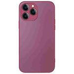 For iPhone 12 Pro Max AG Frosted Sweatproof Shockproof Phone Case(Plum Purple)