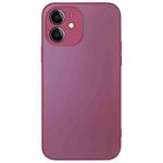 For iPhone 11 AG Frosted Sweatproof Shockproof Phone Case(Plum Purple)