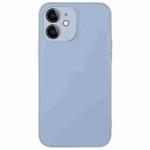 For iPhone 11 AG Frosted Sweatproof Shockproof Phone Case(Sierra Blue)