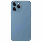 For iPhone 11 Pro Max AG Frosted Sweatproof Shockproof Phone Case(Navy Blue)
