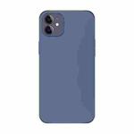 For iPhone 11 Electroplating AG Frosted Phone Case(Dark Purple)