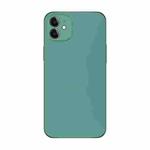 For iPhone 11 Electroplating AG Frosted Phone Case(Green)