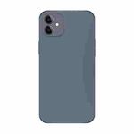 For iPhone 11 Electroplating AG Frosted Phone Case(Grey)