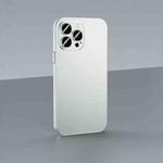 For iPhone 12 Pro Skin Feel Frosted Metal Phone Case(Silver)