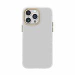For iPhone 13 Pro Max 4D Invisible Frosted PC Phone Case(White)