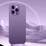 For iPhone 12 Pro Extreme Series Big Hole Skin Frosted Phone Case(Dark Purple)