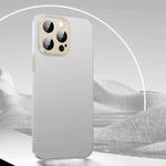 For iPhone 14 Pro Extreme Series Fine Hole Skin Frosted Phone Case(White)