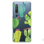 For Xiaomi Mi 10 5G Shockproof Painted Transparent TPU Protective Case(Cactus)