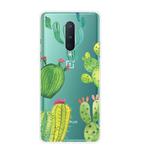 For OnePlus 8 Shockproof Painted Transparent TPU Protective Case(Cactus)