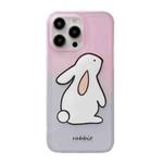 For iPhone 12 Translucent Frosted IMD TPU Phone Case(Gradient Rabbit)