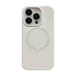 For iPhone 13 Pro Max Magsafe Magnetic Silicone Phone Case(White)