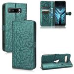 For Asus ROG Phone 3 Strix / ROG Phone 3 Honeycomb Dot Texture Leather Phone Case(Green)