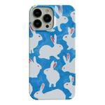 For iPhone 13 Pro Cartoon Film Craft Hard PC Phone Case(Graffiti Rabbit)