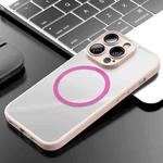 For iPhone 14 Pro Skyship TPU Soft Magsafe Phone Case(Pink)