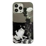 For iPhone 14 Pro Max 2 in 1 Detachable Painted Pattern Phone Case(Illustration Cat)