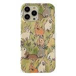 For iPhone 14 2 in 1 Detachable Painted Pattern Phone Case(Grazing Rabbit)