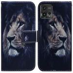 For Motorola Moto G72 Coloured Drawing Flip Leather Phone Case(Lion)