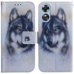 For OPPO A17 Coloured Drawing Flip Leather Phone Case(White Wolf)