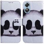 For OPPO A17 Coloured Drawing Flip Leather Phone Case(Panda)