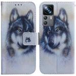 For Xiaomi 12T Pro Coloured Drawing Flip Leather Phone Case(White Wolf)