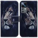 For Xiaomi 12T Pro Coloured Drawing Flip Leather Phone Case(Lion)