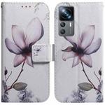 For Xiaomi 12T Pro Coloured Drawing Flip Leather Phone Case(Magnolia)